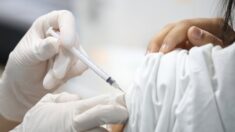 “화이자 코로나 백신, 간세포에 들어가 DNA에 영향” 스웨덴 연구팀