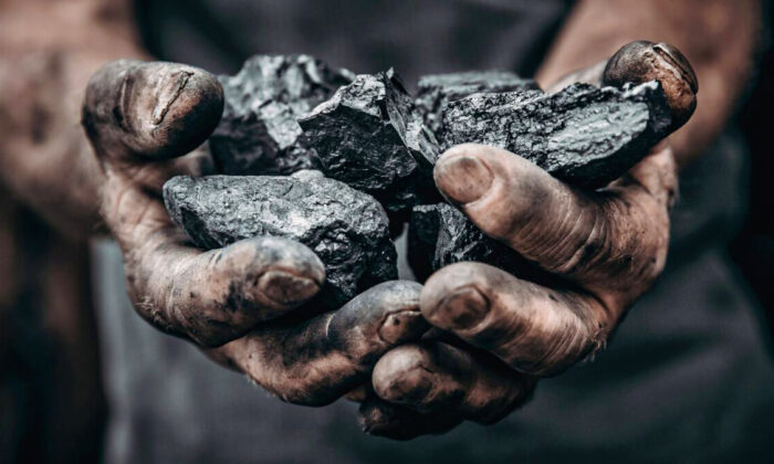 석탄 | Parilov/Adobe Stock