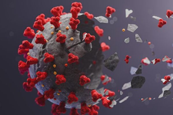 중공 바이러스(코로나19 바이러스) 그래픽 | 셔터스톡