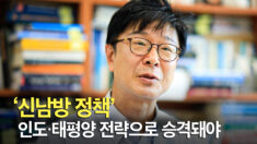김재천 서강대 국제대학원 교수, “신남방 정책이 인도·태평양 전략으로 승격돼야”