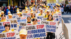 “침묵 끝낼 때” 미·영 의료인들, 중국 강제 장기적출 공론화