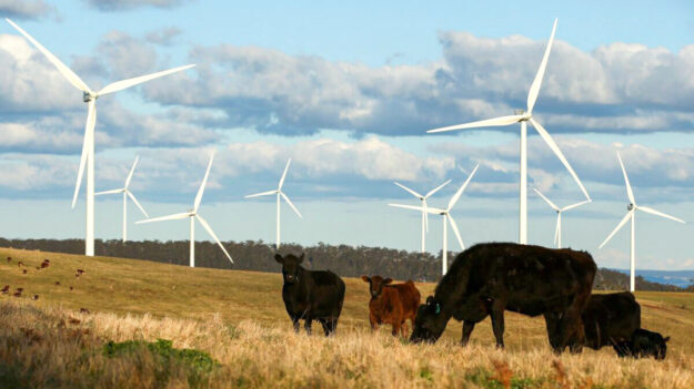 “풍력 발전기 수명 20년…폐기물 처리 계획 필요”