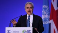 IEA 사무총장 “글로벌 에너지 위기 더욱 심화될 가능성”