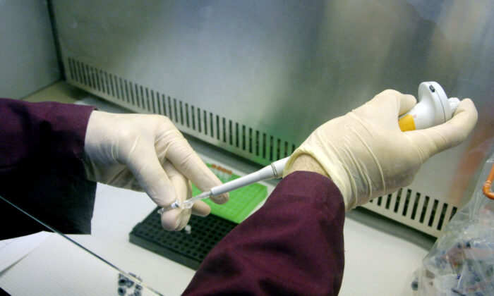법의학 분석가가 유전자 분석에 사용할 DNA 샘플을 준비하고 있다. | Mario Villafuerte/Getty Images