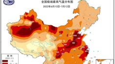 중국 폭염 한달째…열기에 시멘트 도로 폭발한 곳도