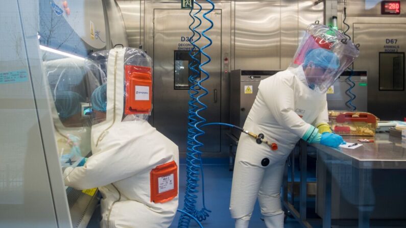 중국 후베이성 우한바이러스연구소의 생물안전 최고등급인 4등급 실험실에서 연구원들이 실험을 진행하고 있다. 2017.2.23 | Johannes Eisele/AFP via Getty Images=연합뉴스