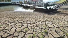 폭우 뒤 가뭄…中 극단적 날씨, 글로벌 공급망에 차질