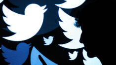 “트위터, ‘코로나 정보 검열’ 정부 압력 받았다” 내부 문건