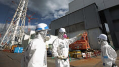 12년 전 일본 후쿠시마 재난 현장 수습 투입된 2인 “임무에만 집중…건강 이상 無”