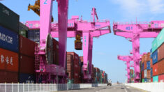 미국, 중국 ZPMC 크레인 ‘트로이 목마’로 의심…한국 항만에도 해당 기업 제품 설치