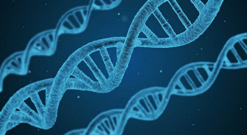 DNA 자료사진 | Pixabay