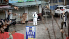 중국서 H3N8 감염 첫 사망자 발생…또 뒤늦게 보고
