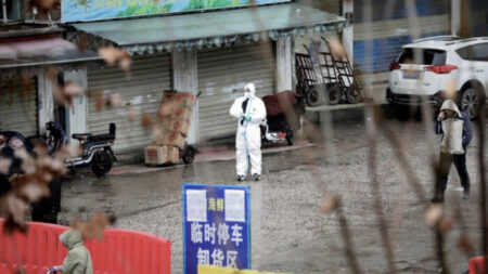 중국서 H3N8 감염 첫 사망자 발생…또 뒤늦게 보고