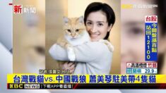 중국이 누를수록 존재감 커지는 ‘고양이 전사’ 외교관 샤오메이친 주미대만대표