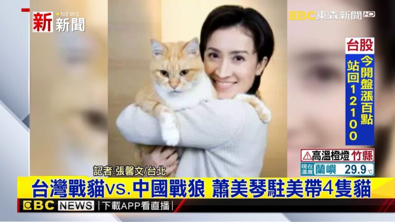 중국의 늑대전사 외교에 맞서는 대만의 고양이전사 외교를 펼치는 샤오메이친 주미국 대만대표를 소개한 대만 방송 화면. | EBC 화면 갈무리.