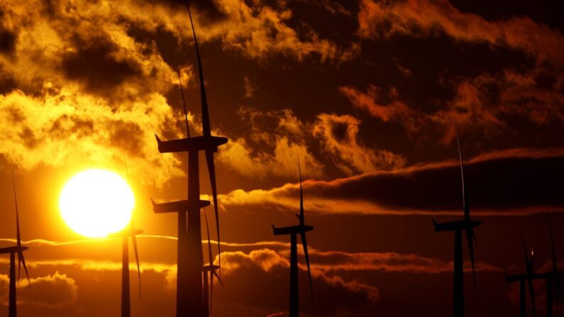 2010년 1월 29일, 영국 스코틀랜드 블랙로에 있는 블랙로 풍력 발전소 사진. | Jeff J. Mitchell/Getty Images