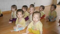 유니세프 “北 아동 28만 명 발육부진…남한 10배”