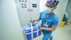 홍콩, 중국과 ‘장기이식 공조’ 발표…전문가 “장기밀매 연루될 것”