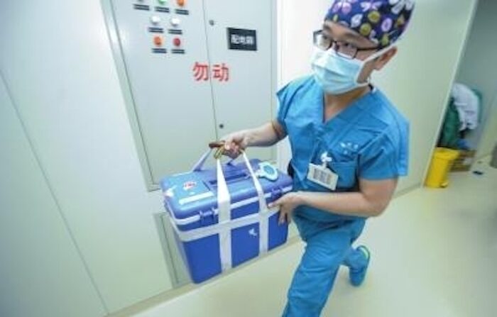 중국의 인체 장기 수송. | 연합뉴스