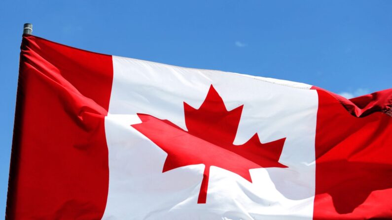 캐나다 국기. | AP/연합