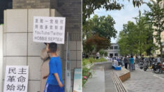 中 베이징대학서 “일당독재 폐지, 다당제 수용” 1인 시위