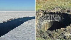 시베리아 동토에 묻혀 있던 벌레, 4만6천년 만에 깨어나 ‘번식’