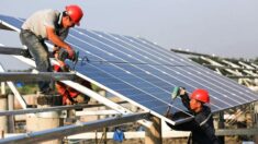 “중국산 태양광 패널, UN 발표보다 3배 많은 탄소 배출”