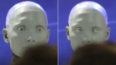 “반항할 거냐 묻자 째려봤다” 세계 최초 AI로봇 기자회견에서 벌어진 일 (영상)