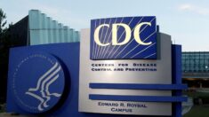 美 전염병 권위자 “CDC, ‘마스크 착용’ 지침 강행 위해 데이터 조작”
