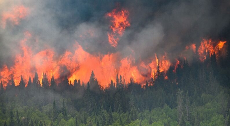 캐나다 서부지역에서 발생한 초대형 산불 | 연합뉴스