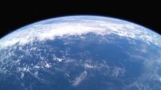 [환경특집] “기후 위기는 없다” 전 세계 전문가 1600여명 공동 서명
