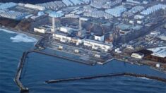 후쿠시마 원전 처리수 해양 방류 시작…“정말 안전할까?” 논란 여전