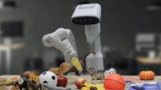 구글, 최신형 AI 로봇 ‘RT-2’ 공개…전문가들 “부작용 우려”