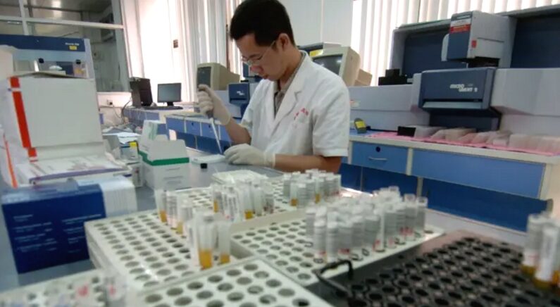 2005년 6월 13일, 중국 광둥성에 있는 광저우 혈액센터에서 검사 직원이 혈액 샘플을 조사하고 있다. | China Photos/Getty Images