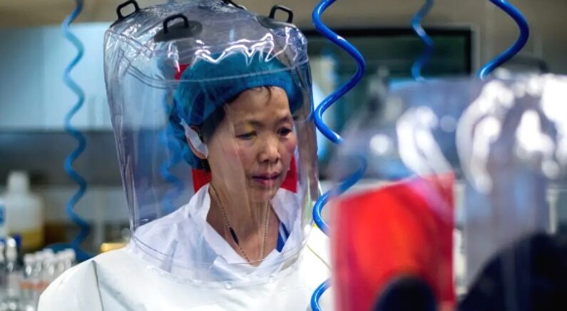 2017년 2월 23일, 중국 후베이성 우한바이러스연구소에서 중국의 바이러스 전문가 스정리 박사가 모습을 드러냈다. | Johannes Eisele/AFP via Getty Images