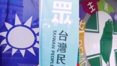 대만 대선 후보 여론조사 결과 제각각… 각양각색 부총통 후보도 관심