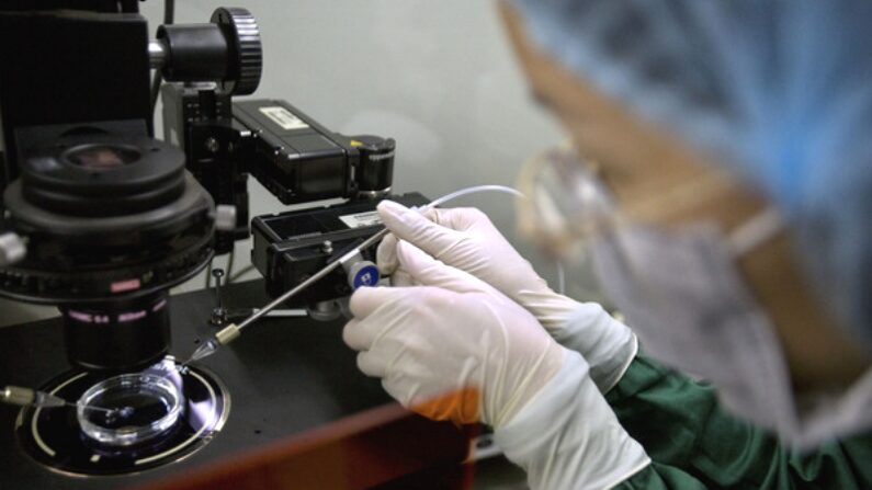 중국의 한 생명공학 연구실에서 연구원이 DNA 편집 기술을 사용하고 있다. | 연합뉴스
