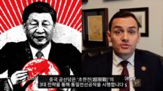 [영상 뉴스] 美하원 중국특위 위원장, 中통전공작 가르치는 ‘일타강사’ 됐다