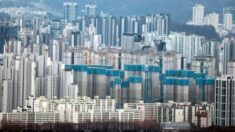홍석준 “중국인 한국 토지 보유 급증…한국인은 중국땅 매입 불가”