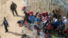 美, 멕시코 국경 4곳 통행 재개…당국 “불법이민 감소” 주장