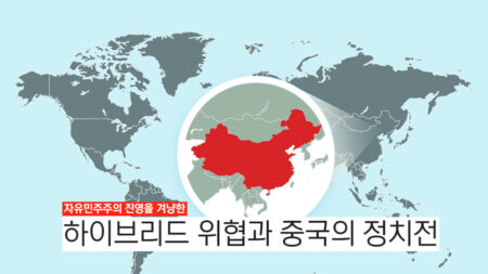 중국의 정치전과 선거: 한국 사례