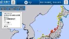 서경덕 “日, 재난 안내에 ‘독도 일본땅’ 표기…韓 정부 대응해야”