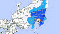 일본 도쿄서 규모 4.8 지진…“쓰나미 우려 없어”