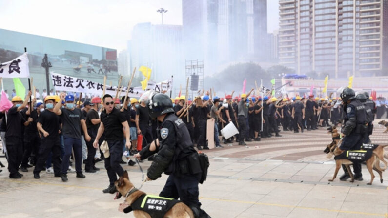 홍콩과 바다를 사이에 두고 마주한 중국 광둥성 선전에서 중국 경찰이 가상 시위대를 상대로 폭동진압 훈련을 하고 있다. 2019.8.6 | 로이터/연합뉴스