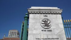중국, 美인플레법 WTO에 제소…“전기차 보조금 차별”