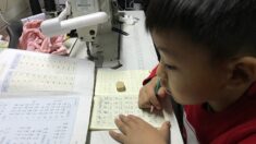 수학시험 문제에 시진핑 어록…이념에 매몰된 中 초등교육