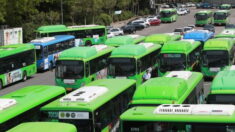 서울 시내버스 멈춰서나…버스노조 28일 총파업 예고