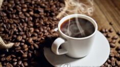 “커피 속 천연화합물, 노화로 인한 근손실 방지” 스위스 연구