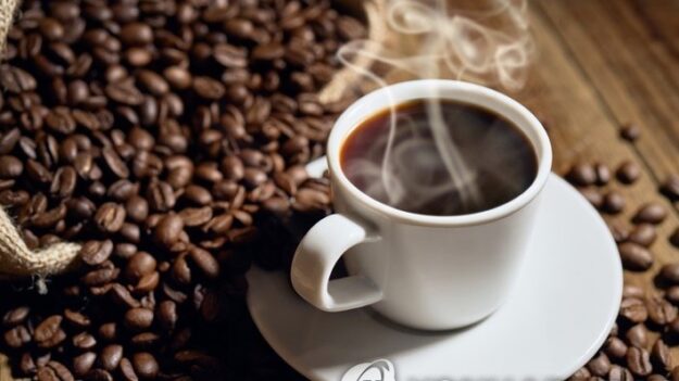 “커피 속 천연화합물, 노화로 인한 근손실 방지” 스위스 연구