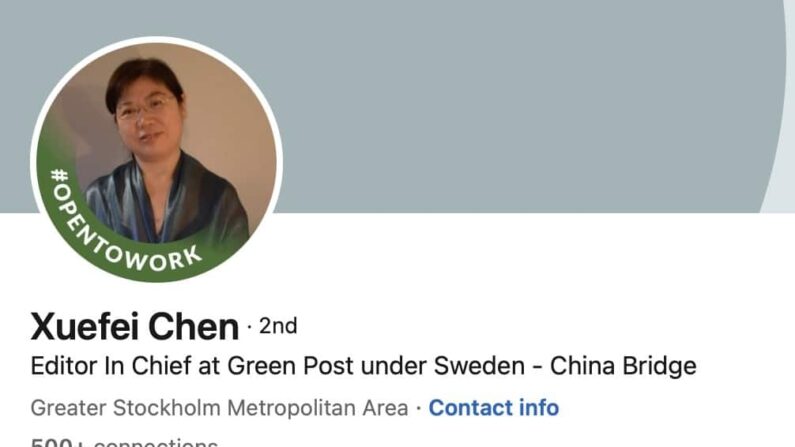 스웨덴 정부가 국가안보에 위협이 된다며 추방한 중국인 기자 천쉐페이의 링크트인 페이지. 스웨덴과 중국 사이의 가교 역할을 하겠다는 소개 문구가 적혀 있다. | 화면캡처
